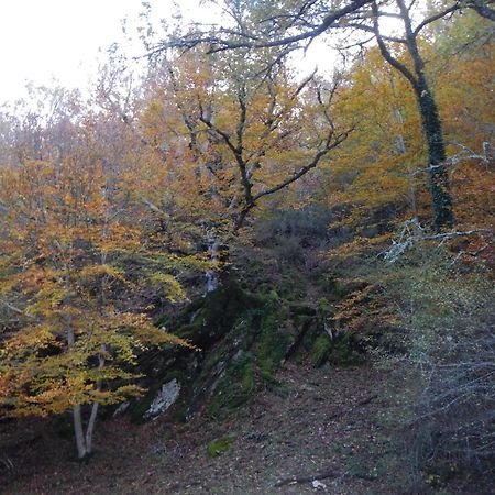 Alojamiento Rural Fuente Del Arca Pradena del Rincon Dış mekan fotoğraf